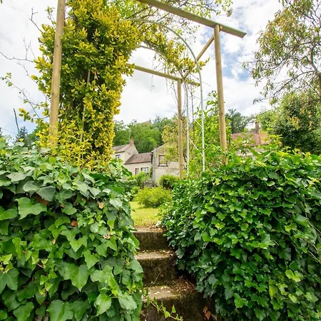 In Near בית נופש